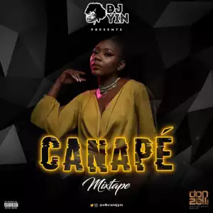 DJ Yin - Canapé (Mix)